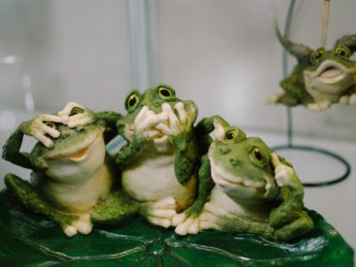 Веселые жабусики от Sealmark. МУзей ЛЯгушек и Жаб